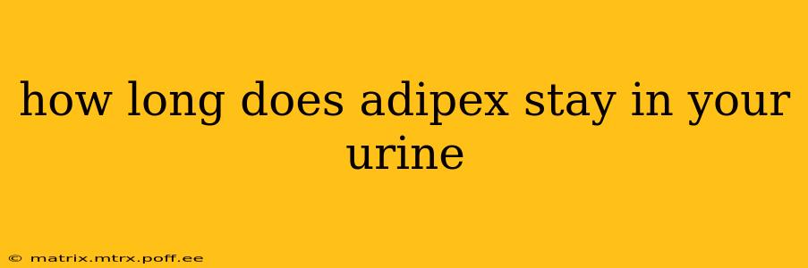 how long does adipex stay in your urine