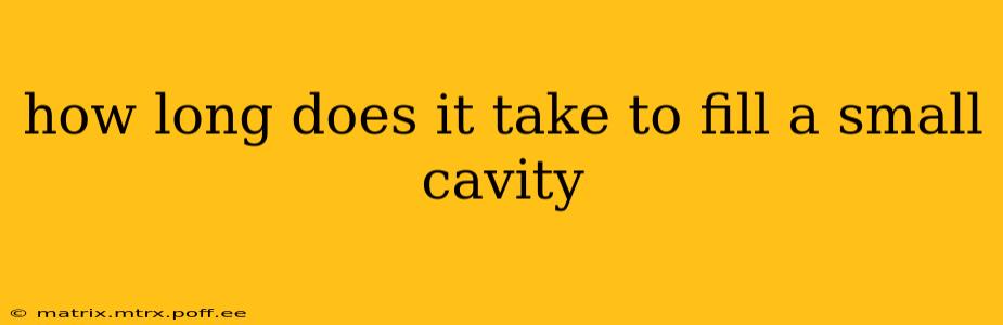 how long does it take to fill a small cavity