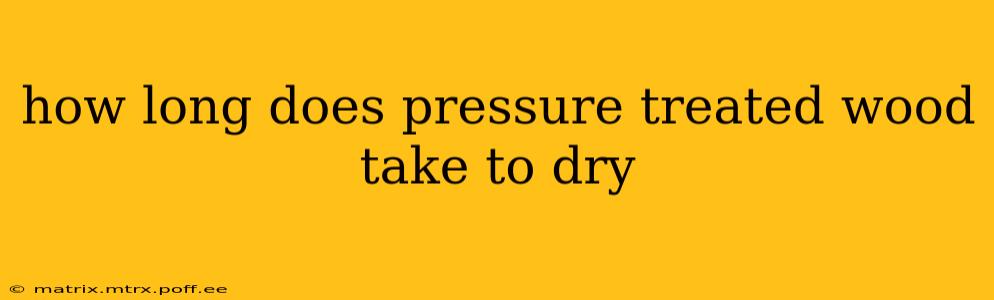 how long does pressure treated wood take to dry