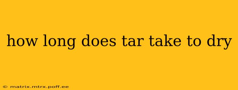 how long does tar take to dry