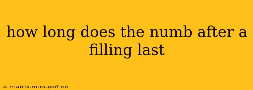 how long does the numb after a filling last