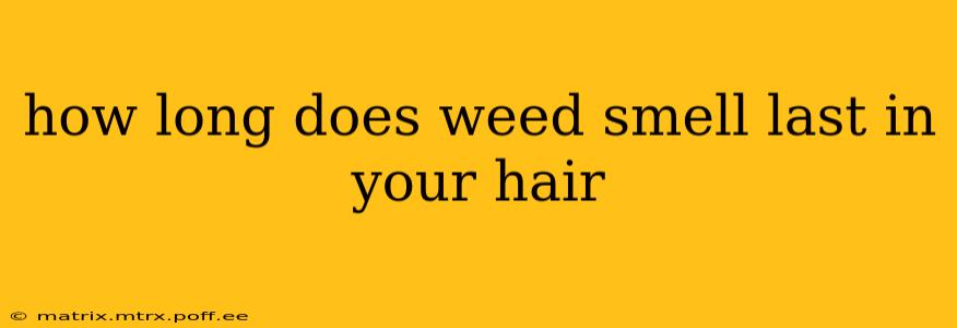 how long does weed smell last in your hair
