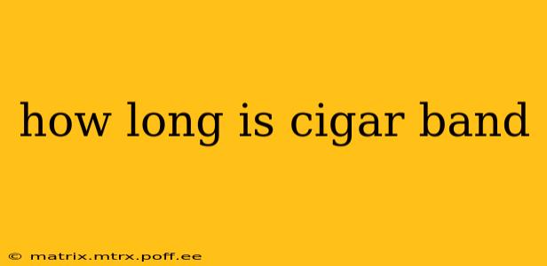 how long is cigar band
