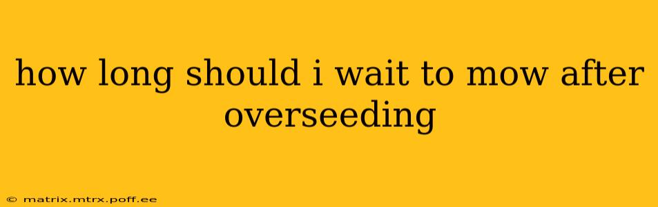 how long should i wait to mow after overseeding
