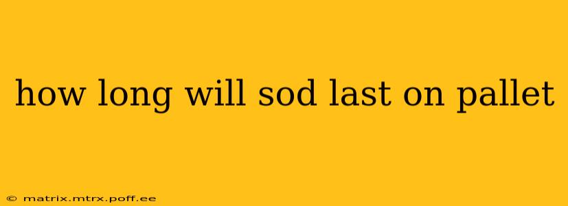 how long will sod last on pallet