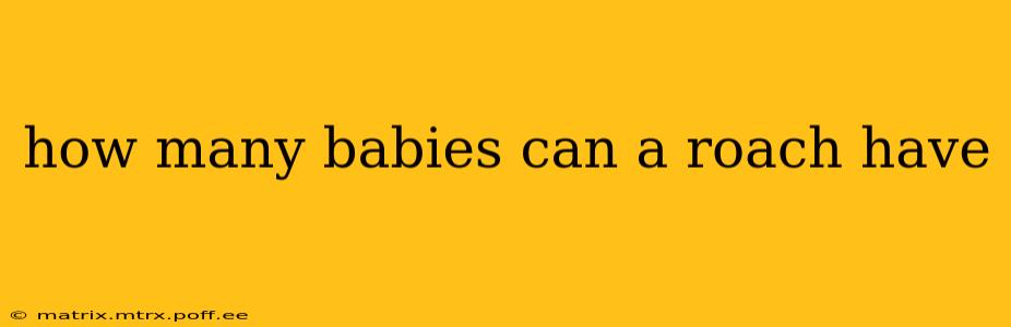 how many babies can a roach have