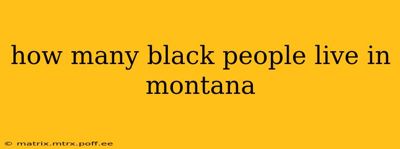 how many black people live in montana