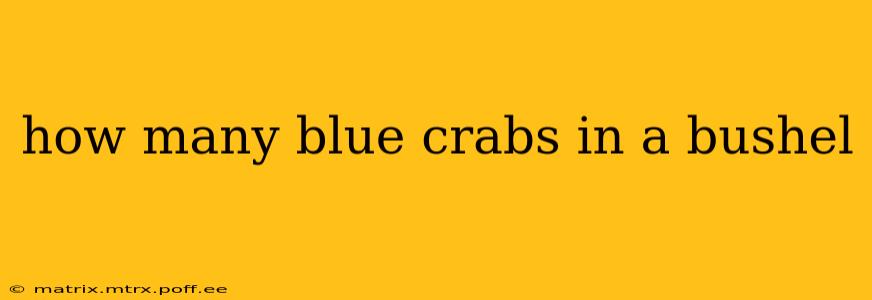 how many blue crabs in a bushel