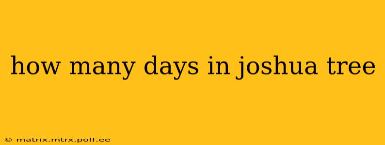 how many days in joshua tree