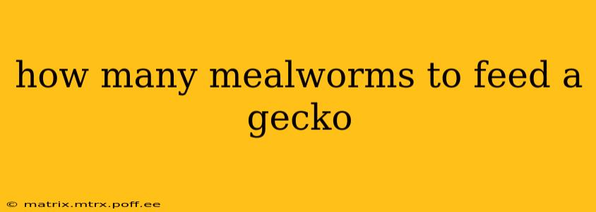 how many mealworms to feed a gecko
