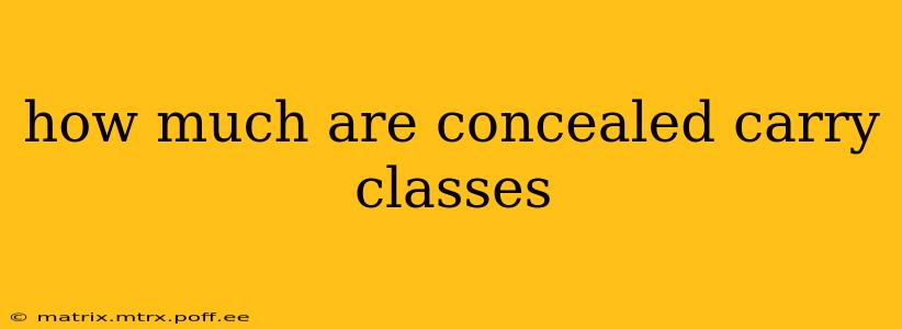 how much are concealed carry classes