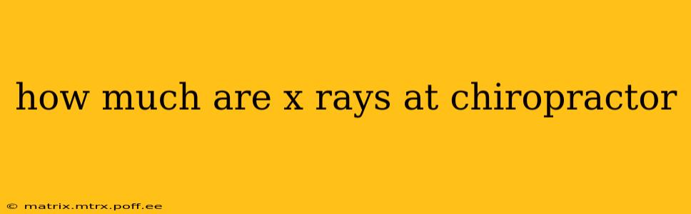how much are x rays at chiropractor