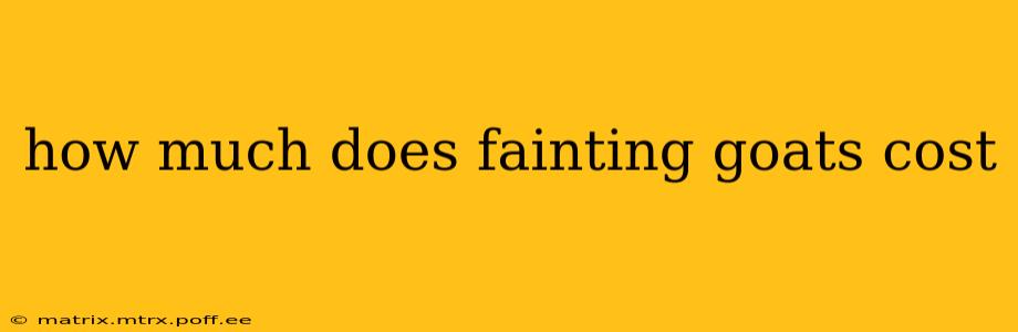how much does fainting goats cost