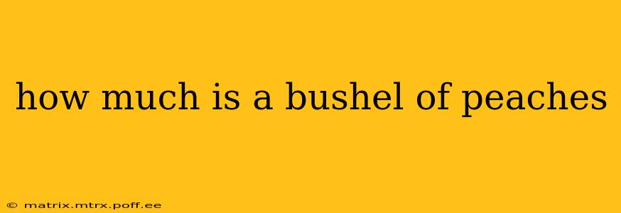 how much is a bushel of peaches