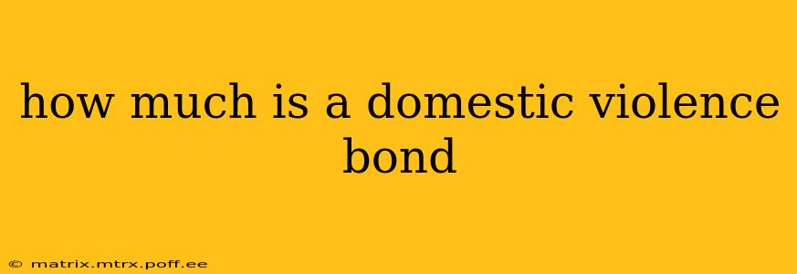 how much is a domestic violence bond