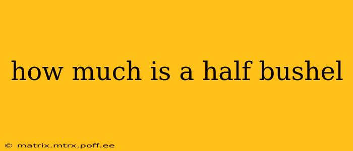 how much is a half bushel