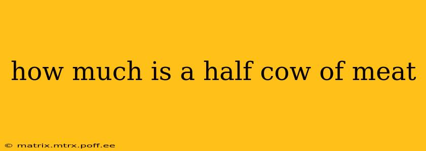 how much is a half cow of meat