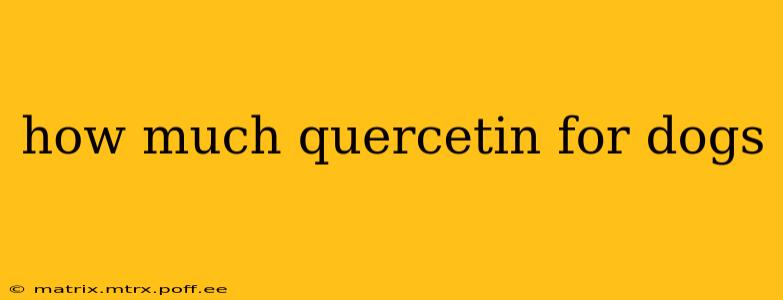 how much quercetin for dogs