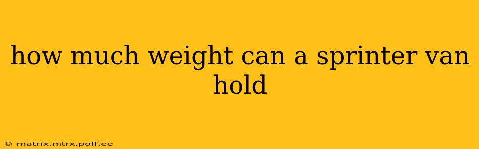 how much weight can a sprinter van hold