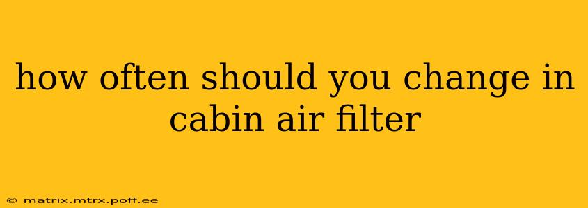 how often should you change in cabin air filter