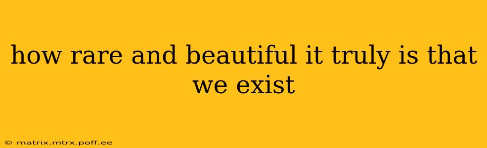 how rare and beautiful it truly is that we exist