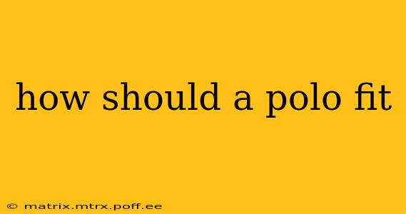 how should a polo fit