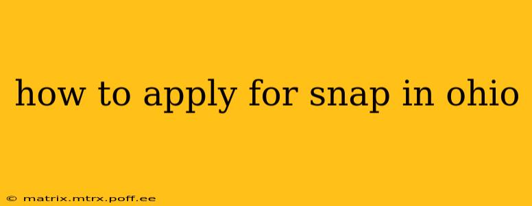 how to apply for snap in ohio