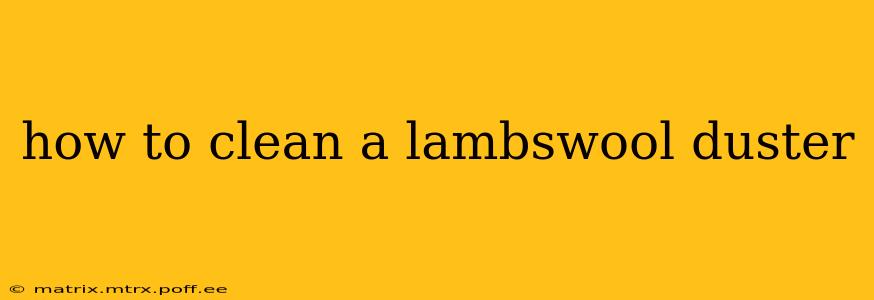 how to clean a lambswool duster