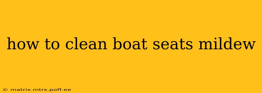 how to clean boat seats mildew
