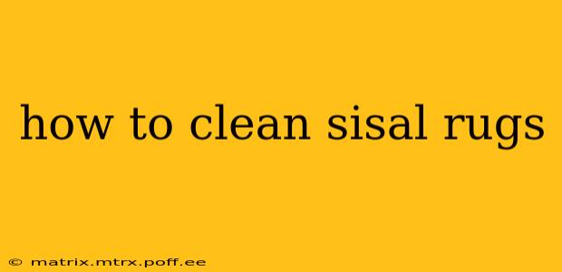 how to clean sisal rugs