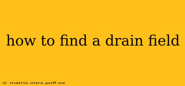 how to find a drain field