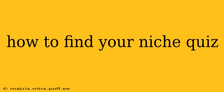 how to find your niche quiz