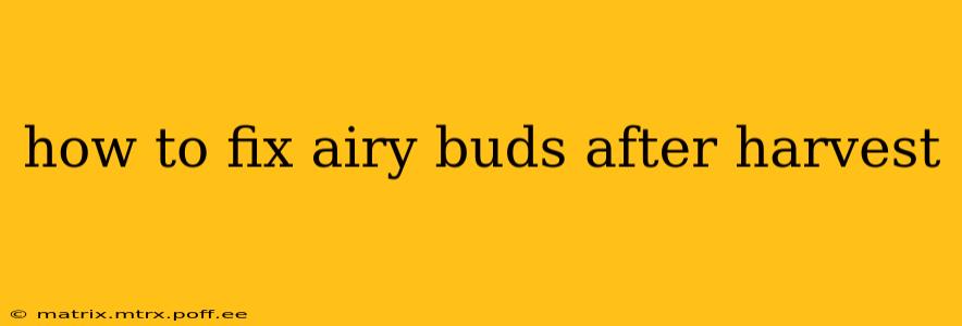 how to fix airy buds after harvest
