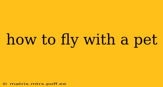 how to fly with a pet