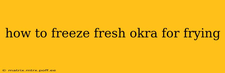 how to freeze fresh okra for frying