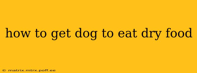 how to get dog to eat dry food