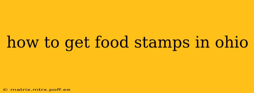 how to get food stamps in ohio