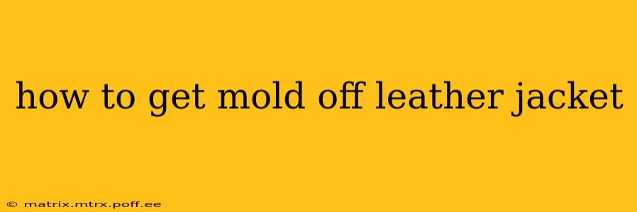 how to get mold off leather jacket