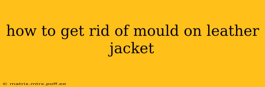 how to get rid of mould on leather jacket