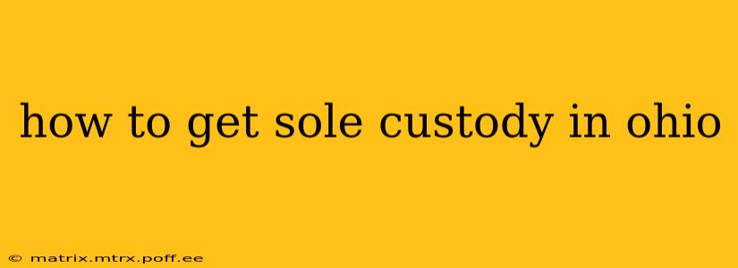 how to get sole custody in ohio