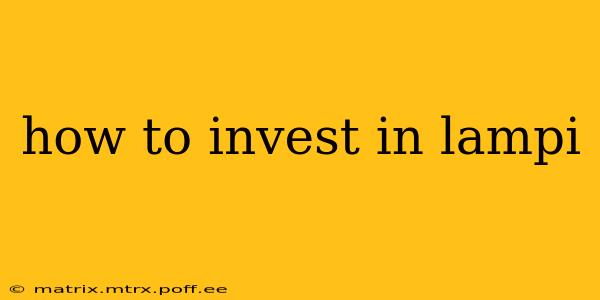 how to invest in lampi