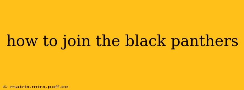 how to join the black panthers