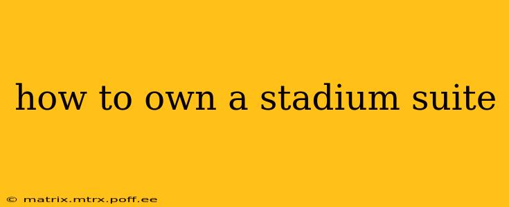 how to own a stadium suite