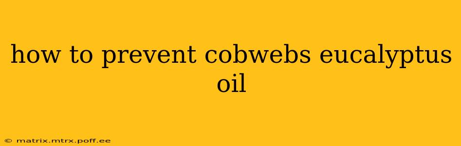 how to prevent cobwebs eucalyptus oil
