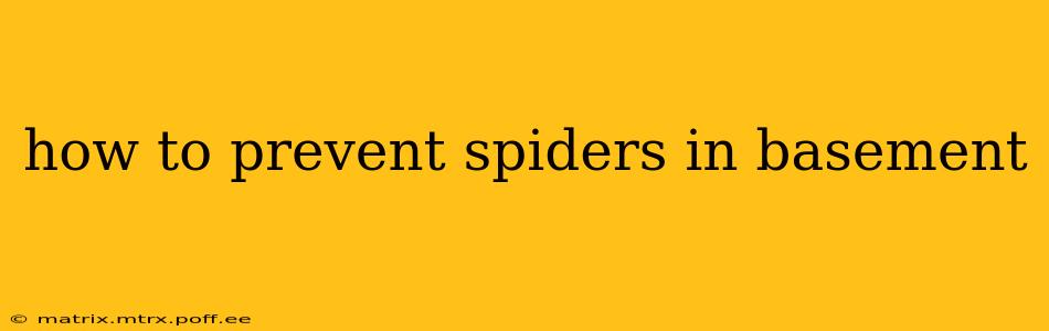 how to prevent spiders in basement