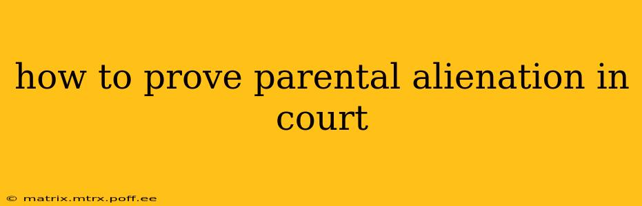 how to prove parental alienation in court