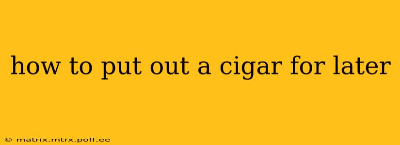 how to put out a cigar for later
