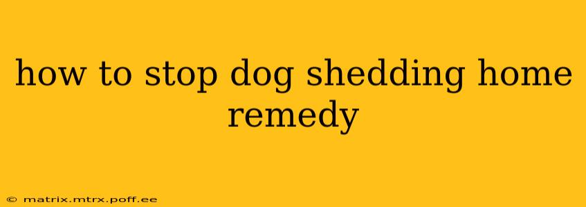 how to stop dog shedding home remedy
