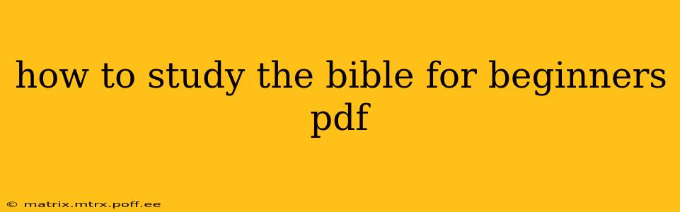 how to study the bible for beginners pdf