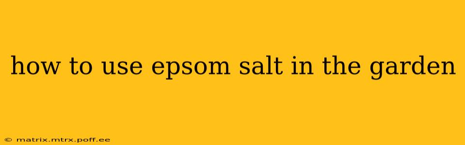 how to use epsom salt in the garden